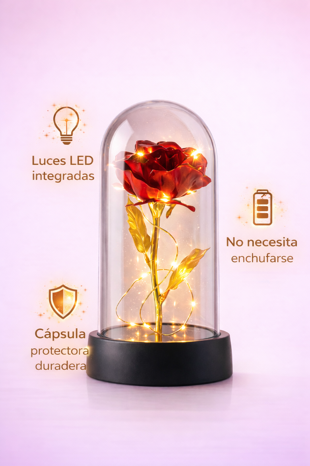 Rosa Led