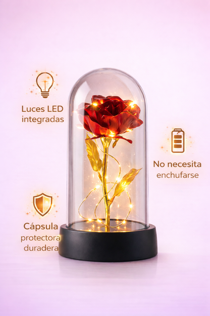 Rosa Led